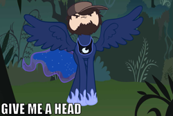 Size: 1019x681 | Tagged: safe, imported from derpibooru, princess luna, game grumps, give me a head, impact font, jontron, not so grump, text