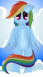 Size: 1700x3000 | Tagged: safe, artist:graphene, imported from derpibooru, rainbow dash, pegasus, pony, bipedal, cloud, cute, looking at you