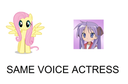 Size: 900x592 | Tagged: safe, imported from derpibooru, fluttershy, emiri katou, exploitable meme, hiiragi kagami, japanese, lucky star, same voice actor