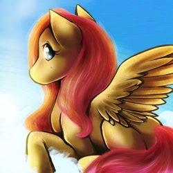 Size: 1000x1000 | Tagged: safe, artist:poppis90, imported from derpibooru, fluttershy, cloud