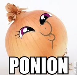 Size: 300x292 | Tagged: safe, edit, imported from derpibooru, dashface, onion, pun, so awesome