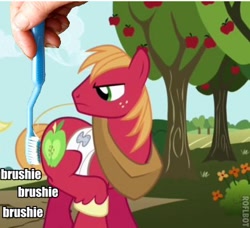 Size: 394x360 | Tagged: safe, edit, edited screencap, imported from derpibooru, screencap, big macintosh, earth pony, pony, applebuck season, brushie, brushie brushie, male, stallion, toothbrush