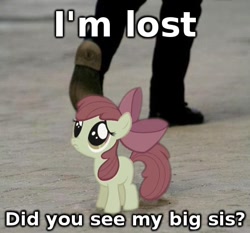 Size: 494x460 | Tagged: safe, imported from derpibooru, apple bloom, image macro, lost, ponies in real life, sad