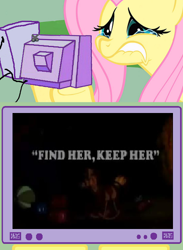 Size: 365x500 | Tagged: safe, imported from derpibooru, fluttershy, crying, disney, exploitable meme, fluttercry, tv meme, winnie the pooh