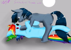 Size: 3507x2480 | Tagged: safe, artist:suchafoal, imported from derpibooru, dead rainbow dash, female, lesbian, pirate dash, selfcest