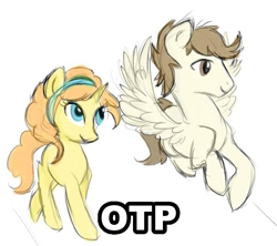 Size: 677x600 | Tagged: safe, artist:jbrid, imported from derpibooru, pound cake, pumpkin cake, pegasus, pony, unicorn, cakecest, caketwincest, female, image macro, incest, male, older, otp, shipping, straight, twincest, twins