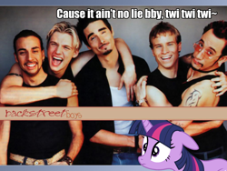 Size: 1024x768 | Tagged: safe, imported from derpibooru, twilight sparkle, backstreet boys, cowboy bebop at his computer, nsync, parody, wat