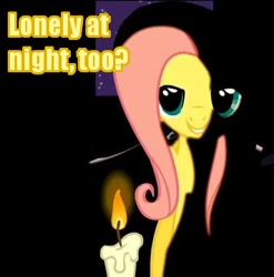 Size: 356x360 | Tagged: safe, imported from derpibooru, fluttershy, pony, bronybait, female, image macro, solo