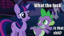 Size: 640x360 | Tagged: safe, imported from derpibooru, spike, twilight sparkle, image macro, meme, reaction image, vulgar