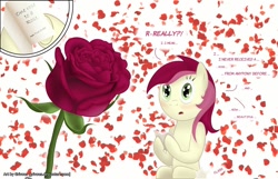 Size: 1100x708 | Tagged: safe, artist:grivous, imported from derpibooru, roseluck, blushing, rose, rose petals, solo