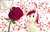 Size: 1100x708 | Tagged: safe, artist:grivous, imported from derpibooru, roseluck, blushing, rose, rose petals, solo