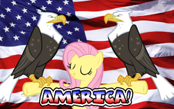 Size: 872x546 | Tagged: safe, artist:lord4536, imported from derpibooru, fluttershy, bald eagle, eagle, american flag, trio, united states