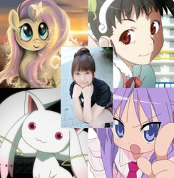 Size: 1364x1400 | Tagged: safe, imported from derpibooru, fluttershy, bakemonogatari, emiri katou, hachikuji mayoi, hiiragi kagami, incubator (species), kyubey, lucky star, puella magi madoka magica, voice actor