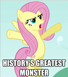 Size: 599x672 | Tagged: safe, imported from derpibooru, fluttershy, fanfic, image macro