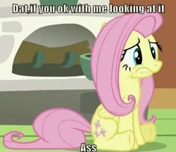 Size: 500x432 | Tagged: safe, imported from derpibooru, fluttershy, pony, dat ass, dat assershy, dat butt, female, image macro, lip bite, meme, solo