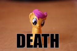 Size: 1440x960 | Tagged: safe, imported from derpibooru, scootaloo, female, image macro, irl, phidal, photo, toy