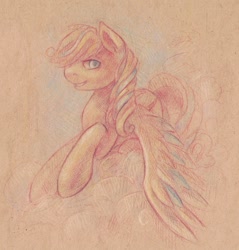 Size: 1457x1521 | Tagged: safe, artist:somepony77212, imported from derpibooru, oc, oc only, pegasus, pony, cloud, cloudy, portrait, solo, traditional art