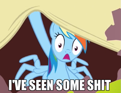 Size: 555x426 | Tagged: safe, imported from derpibooru, rainbow dash, double rainboom, i've seen some shit, image macro, reaction image, text, vulgar