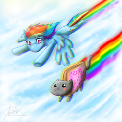 Size: 800x800 | Tagged: safe, artist:amirah-the-cat, imported from derpibooru, rainbow dash, cat, crossover, flying, nyan cat