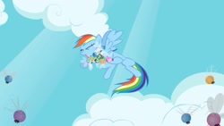 Size: 1920x1080 | Tagged: safe, imported from derpibooru, screencap, rainbow dash, parasprite, pegasus, pony, season 1, swarm of the century, flying, out of context