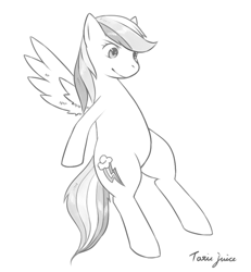 Size: 830x900 | Tagged: safe, artist:japananon, imported from derpibooru, rainbow dash, pegasus, pony, monochrome, pixiv, solo