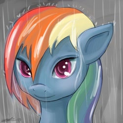 Size: 1200x1200 | Tagged: safe, artist:vanefox, imported from derpibooru, rainbow dash, bust, colored pupils, portrait, rain, smiling, solo, wet, wet mane