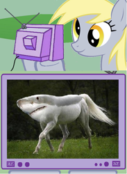 Size: 439x601 | Tagged: safe, imported from derpibooru, derpy hooves, chimera, horse, hybrid, pegasus, pony, shark, exploitable meme, female, impossible creatures, mare, tv meme, wat, what has science done