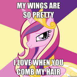 Size: 310x310 | Tagged: safe, imported from derpibooru, princess cadance, pony, advice meme, bedroom eyes, exploitable meme, female, i love when you comb my hair, meme, my wings are so pretty, smiling, solo