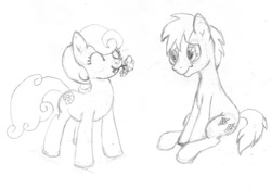 Size: 800x553 | Tagged: safe, artist:blazang, imported from derpibooru, daisy, flower wishes, goldengrape, sir colton vines iii, earth pony, pony, daisygrape, female, male, mare, shipping, stallion, straight, traditional art