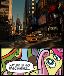 Size: 394x470 | Tagged: safe, edit, idw, imported from derpibooru, fluttershy, human, pegasus, pony, city, exploitable meme, female, first world anarchist, mare, meme, nature is so fascinating, new york, taxi