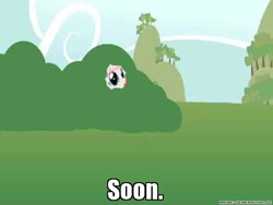 Size: 576x432 | Tagged: safe, artist:mixermike622, imported from derpibooru, oc, oc only, oc:fluffle puff, pony, bush, fluffy, hiding, hiding in bushes, image macro, meme, solo, soon