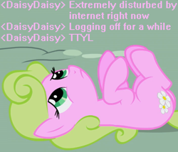 Size: 700x600 | Tagged: safe, imported from derpibooru, daisy, flower wishes, earth pony, pony, caption, chat, disturbed, existential daisy, female, image macro, internet, mare, on back