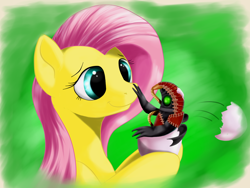 Size: 1600x1200 | Tagged: safe, artist:ac-whiteraven, imported from derpibooru, fluttershy, pony, bioshock, bioshock infinite, female, green background, mare, simple background, solo, songbird