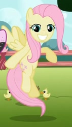 Size: 455x802 | Tagged: safe, imported from derpibooru, screencap, fluttershy, pegasus, pony, may the best pet win, season 2, cropped, duckling, faic, female, find a pet, smiling, solo