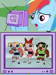 Size: 600x800 | Tagged: safe, imported from derpibooru, rainbow dash, human, exploitable meme, the powerpuff girls, tv meme, ugly