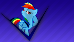 Size: 1920x1080 | Tagged: safe, artist:overmare, imported from derpibooru, rainbow dash, vector, wallpaper