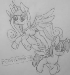 Size: 881x955 | Tagged: safe, artist:zesandvich, imported from derpibooru, princess cadance, twilight sparkle, alicorn, pony, 30 minute art challenge, female, mare, twilight sparkle (alicorn)