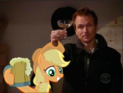 Size: 717x541 | Tagged: safe, artist:uzumakipavel, imported from derpibooru, applejack, drink, phil keoghan, television, the amazing race