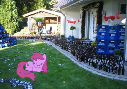 Size: 1048x742 | Tagged: safe, imported from derpibooru, berry punch, berryshine, beer, garden, ponies in real life, sleeping