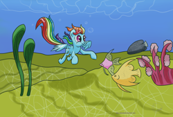 Size: 3200x2160 | Tagged: safe, artist:chaosmalefic, imported from derpibooru, rainbow dash, fish, swimming, underwater