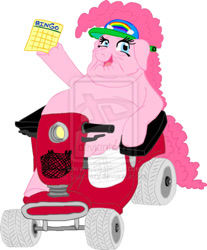 Size: 600x725 | Tagged: safe, artist:sowcrazy, imported from derpibooru, pinkie pie, amputee, cute, diabetes, elderly, fat, female, obese, piggy pie, pudgy pie, scooter, solo, watermark