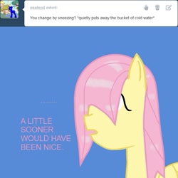 Size: 627x627 | Tagged: safe, imported from derpibooru, fluttershy, all caps, ask, blue background, bust, ranma 1/2, simple background, solo, text, tumblr, wet, wet mane