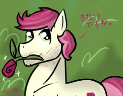 Size: 1109x865 | Tagged: safe, artist:just-random-ish, imported from derpibooru, roseluck, earth pony, pony, 30 minute art challenge, male, rose, rule 63, solo, stallion