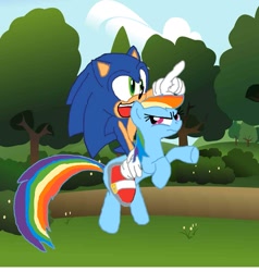Size: 1313x1382 | Tagged: safe, artist:biosonic100, imported from derpibooru, rainbow dash, crossover, riding, sonic riding rainbow dash, sonic the hedgehog, sonic the hedgehog (series)