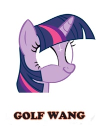 Size: 583x700 | Tagged: safe, artist:prisonedmuffin, imported from derpibooru, twilight sparkle, golf wang, odd future, ofwgkta, twiface, wrong neighborhood
