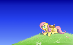 Size: 1680x1050 | Tagged: safe, artist:paarsley, imported from derpibooru, fluttershy, pony, basket, female, flower, solo, wind