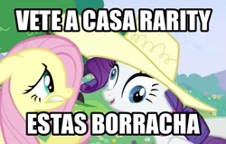 Size: 480x306 | Tagged: safe, imported from derpibooru, fluttershy, rarity, derp, drunk, hat, spanish, translated in the comments