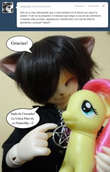 Size: 818x1280 | Tagged: safe, imported from derpibooru, fluttershy, cat, ask, ball jointed doll, bjd, brushable, female, furry, irl, photo, spanish, toy, tumblr