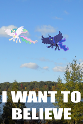 Size: 1572x2340 | Tagged: safe, imported from derpibooru, princess celestia, princess luna, caption, flying, i want to believe, image macro, photo