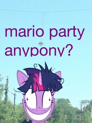 Size: 597x800 | Tagged: safe, imported from derpibooru, twilight sparkle, controller, image macro, irl, mario party, meta, photo, ponies in real life, solo, twilight snapple